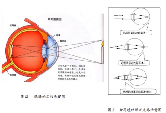 美麗島眼鏡：老花鏡不可隨意亂帶，需要在專業(yè)驗光后科學(xué)配制