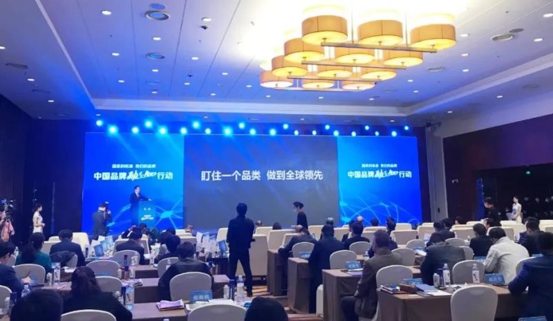 定了！美麗島進(jìn)了國家隊(duì)，新華社專訪