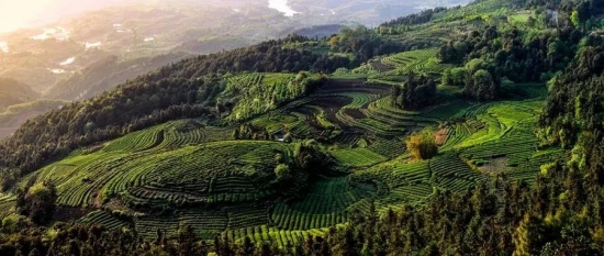 美麗島多焦鏡：這個(gè)明凈新春，以時(shí)間為軸，扶搖直上